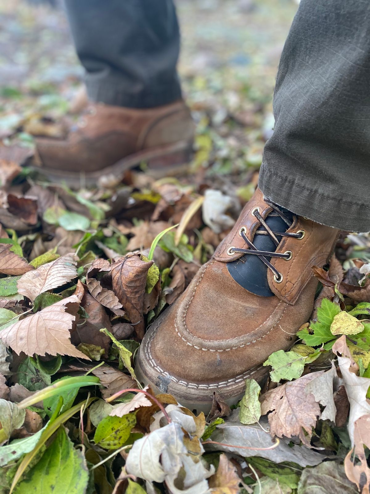 Photo by bootbeater on November 17, 2023 of the Nicks DomePro in Seidel 1964 Tan Roughout.