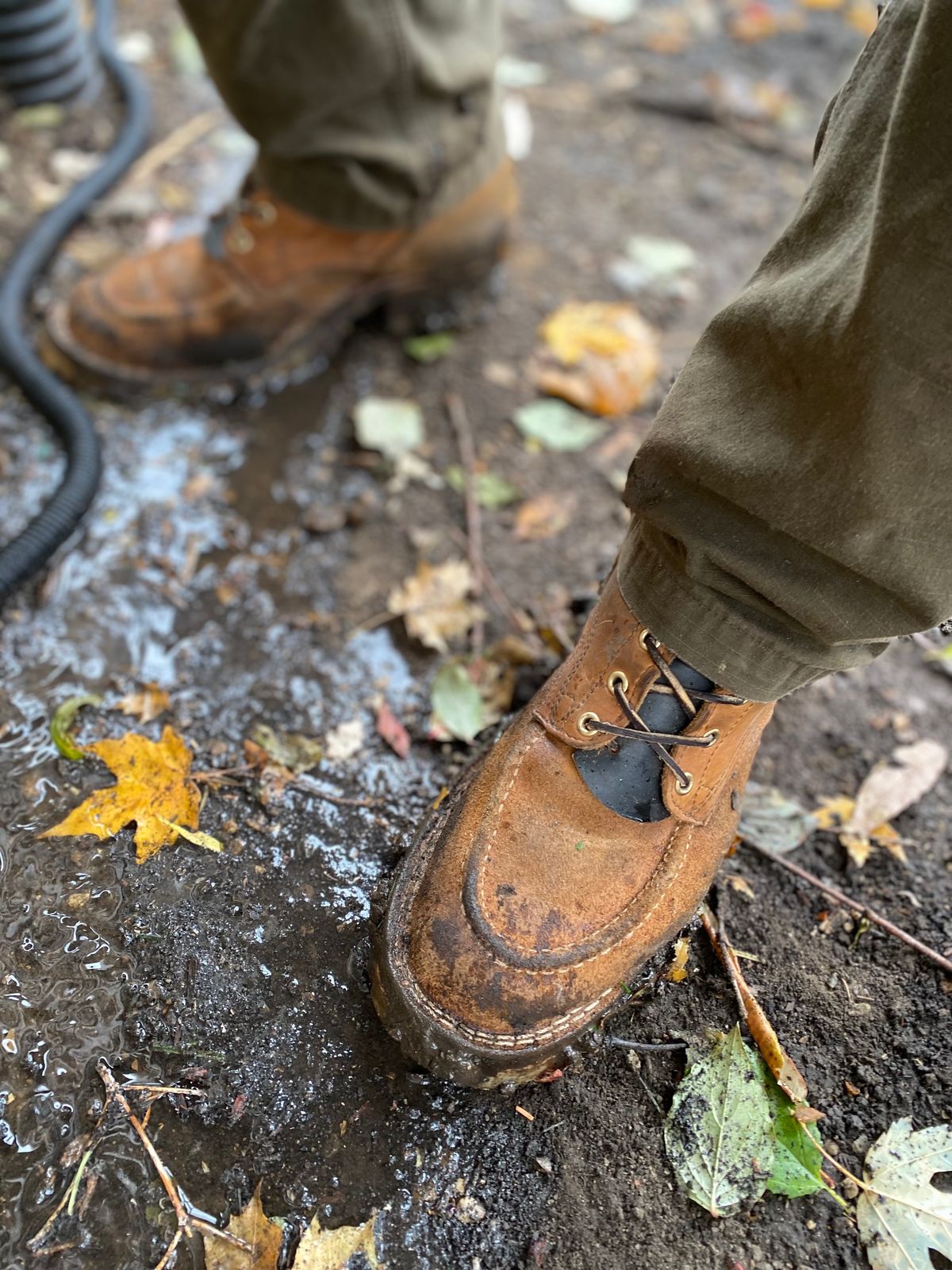 Photo by bootbeater on November 21, 2023 of the Nicks DomePro in Seidel 1964 Tan Roughout.