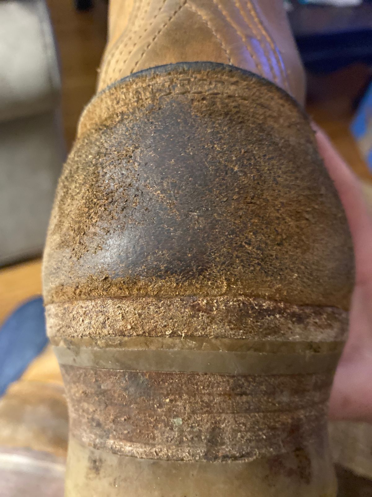 Photo by bootbeater on December 24, 2023 of the Nicks DomePro in Seidel 1964 Tan Roughout.