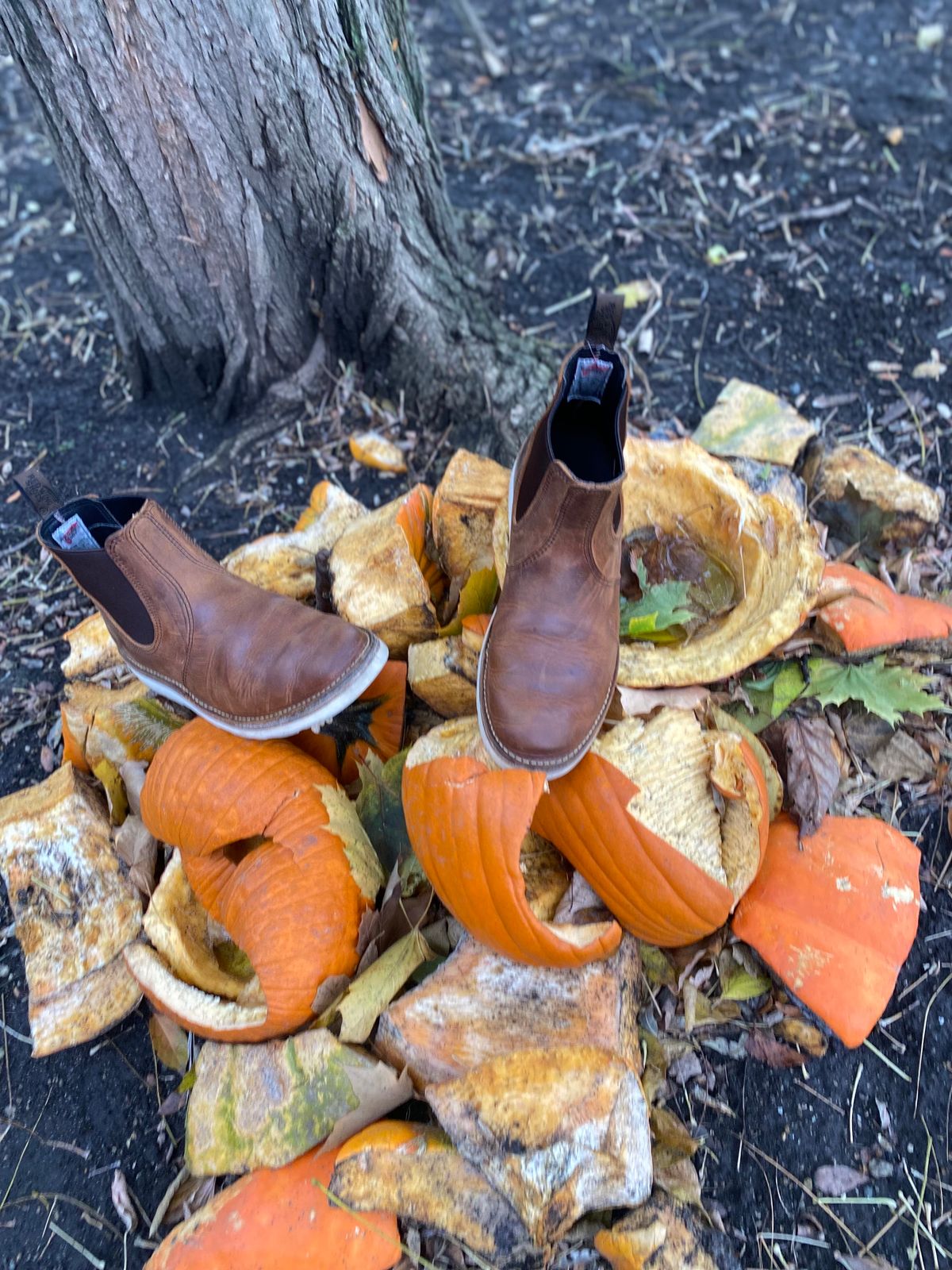 Photo by bootbeater on November 5, 2022 of the Red Wing Weekender Chelsea in S.B. Foot Copper Rough and Tough.