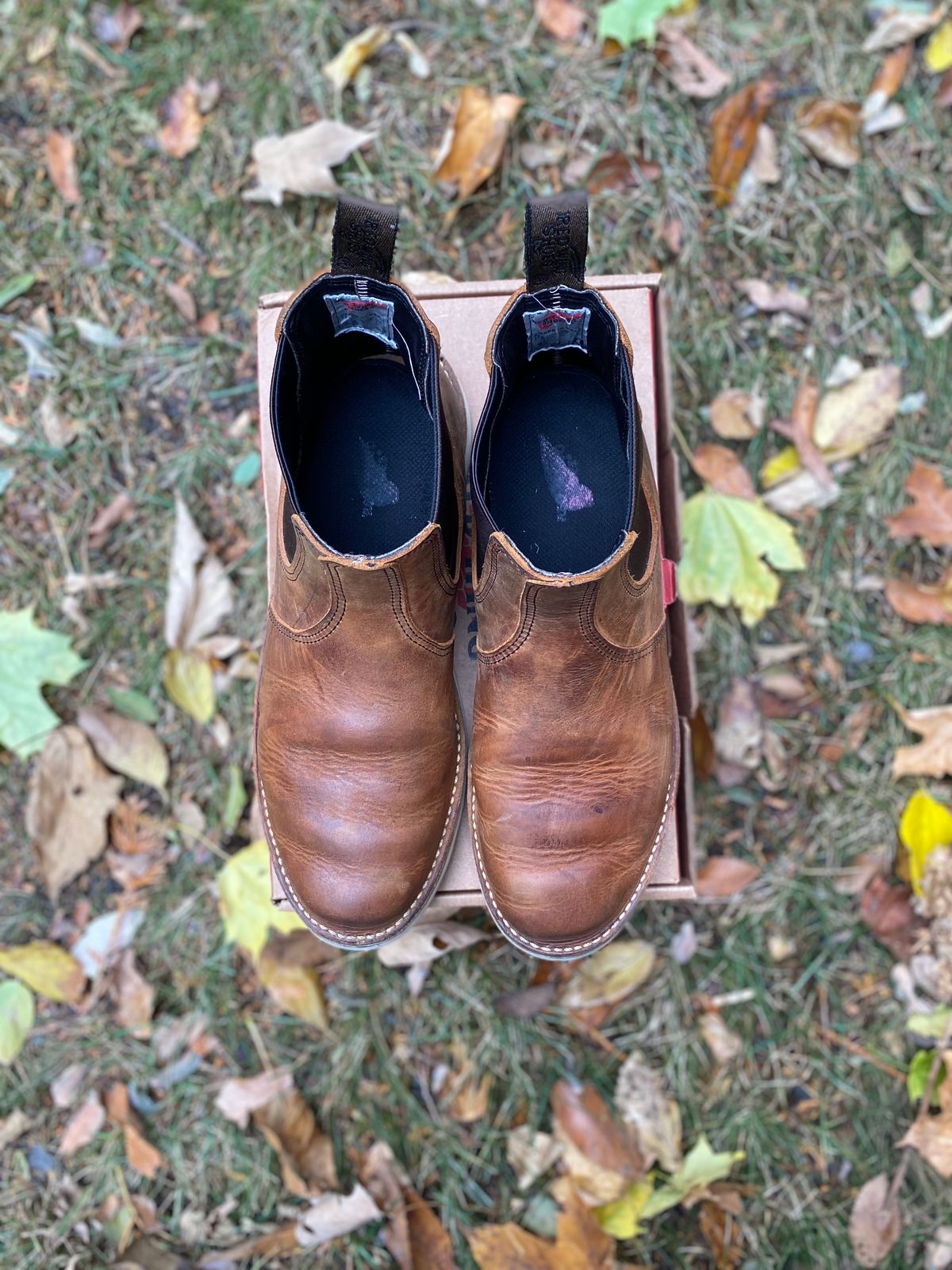 Photo by bootbeater on November 5, 2022 of the Red Wing Weekender Chelsea in S.B. Foot Copper Rough and Tough.