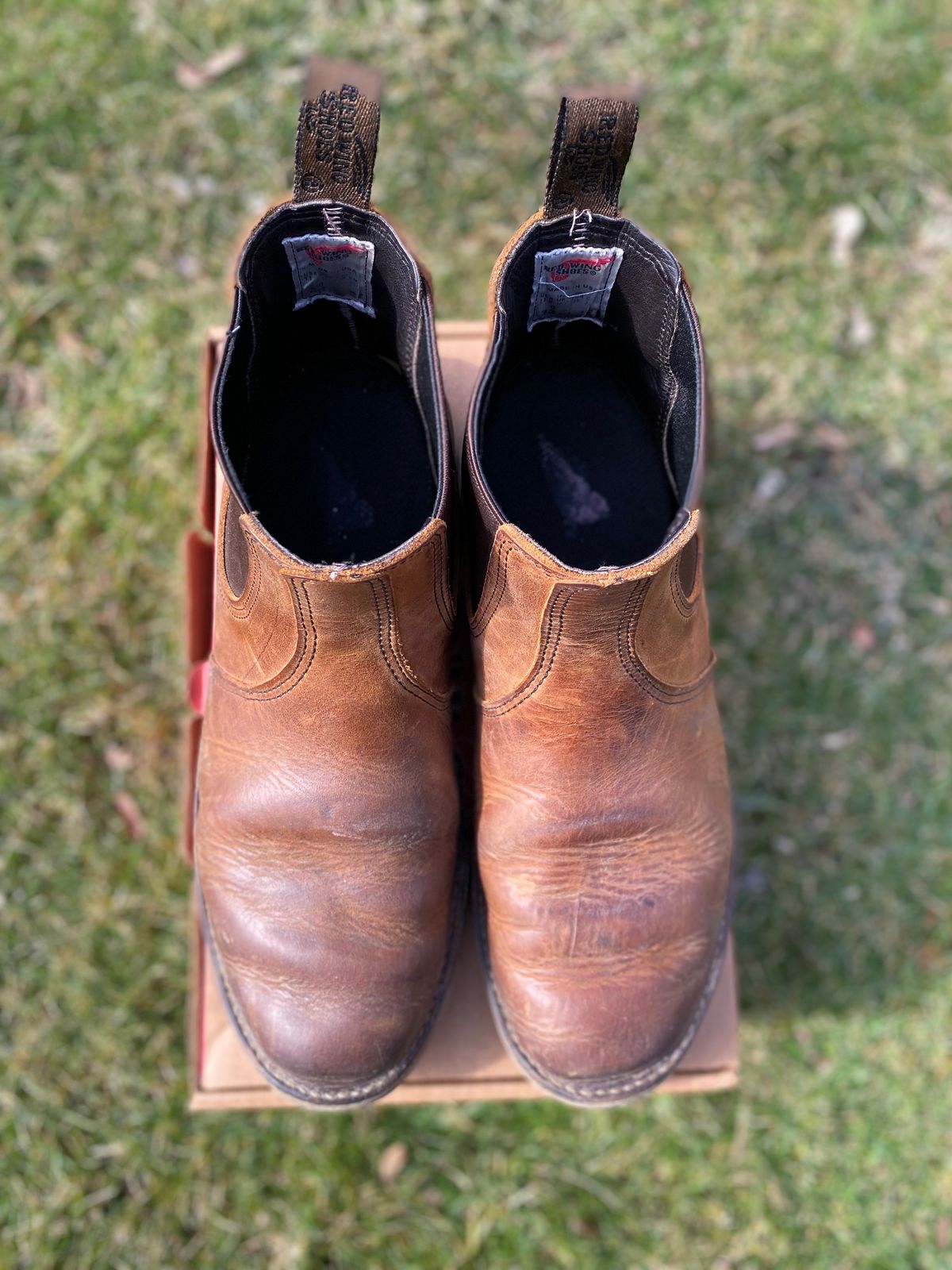 Photo by bootbeater on March 5, 2023 of the Red Wing Weekender Chelsea in S.B. Foot Copper Rough and Tough.