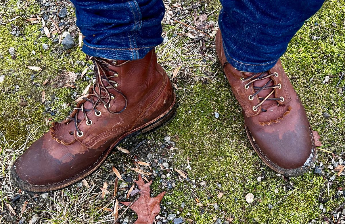 Photo by Wadester on January 10, 2024 of the Nicks Ranger in Seidel 1964 Brown.