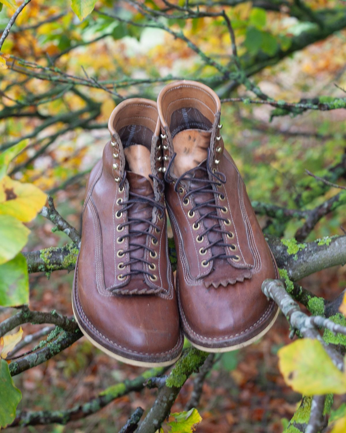 Photo by baschdln on November 3, 2023 of the Self-Made Lace To Toe in Austrian Cow Leather, vegetable Tanned, (reversed) waxed flesh.