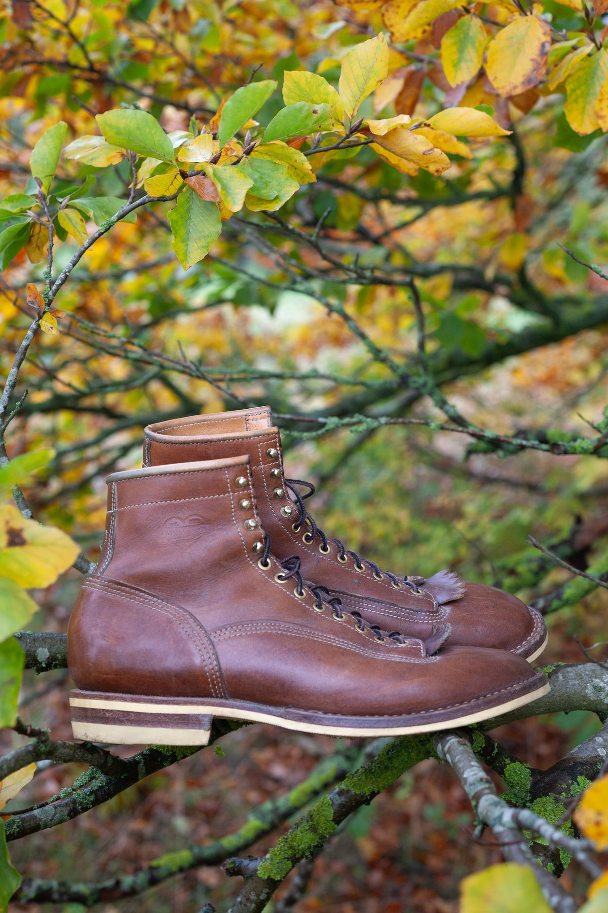 Photo by baschdln on November 3, 2023 of the Self-Made Lace To Toe in Austrian Cow Leather, vegetable Tanned, (reversed) waxed flesh.