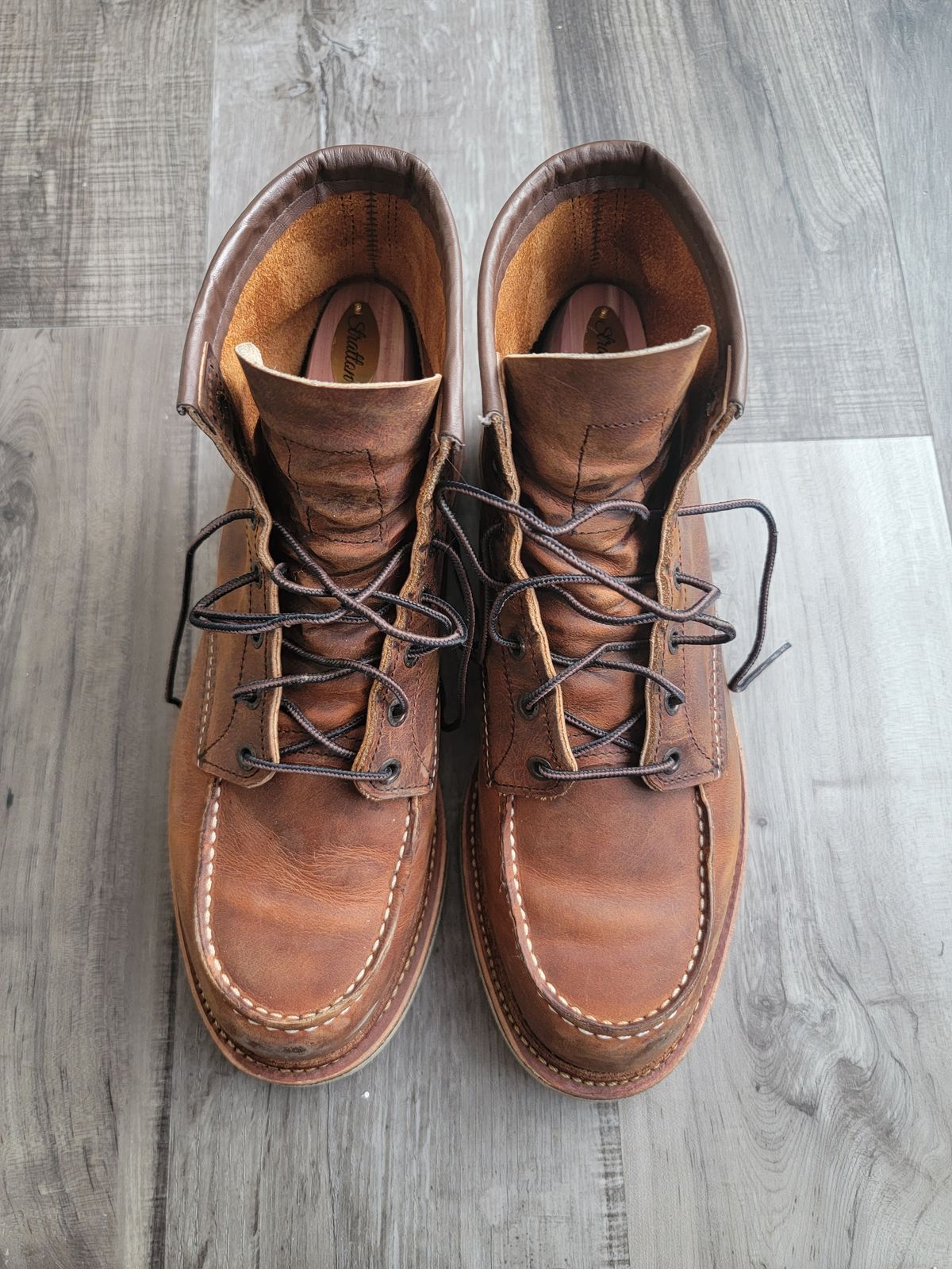 Photo by jtstav on February 5, 2023 of the Red Wing 6-Inch Classic Moc in S.B. Foot Copper Rough and Tough.