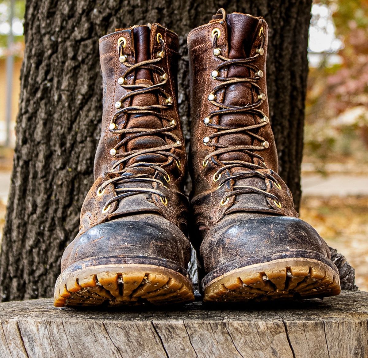 Photo by traceycortez on December 5, 2025 of the Frank's Boots Ground Pounder in Horween Natural Waxed Flesh.
