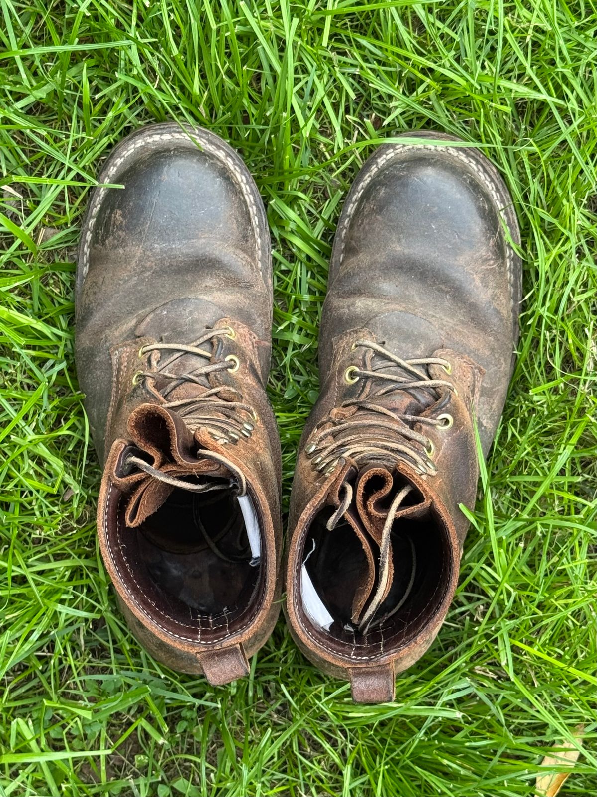 Photo by traceycortez on January 5, 2026 of the Frank's Boots Ground Pounder in Horween Natural Waxed Flesh.