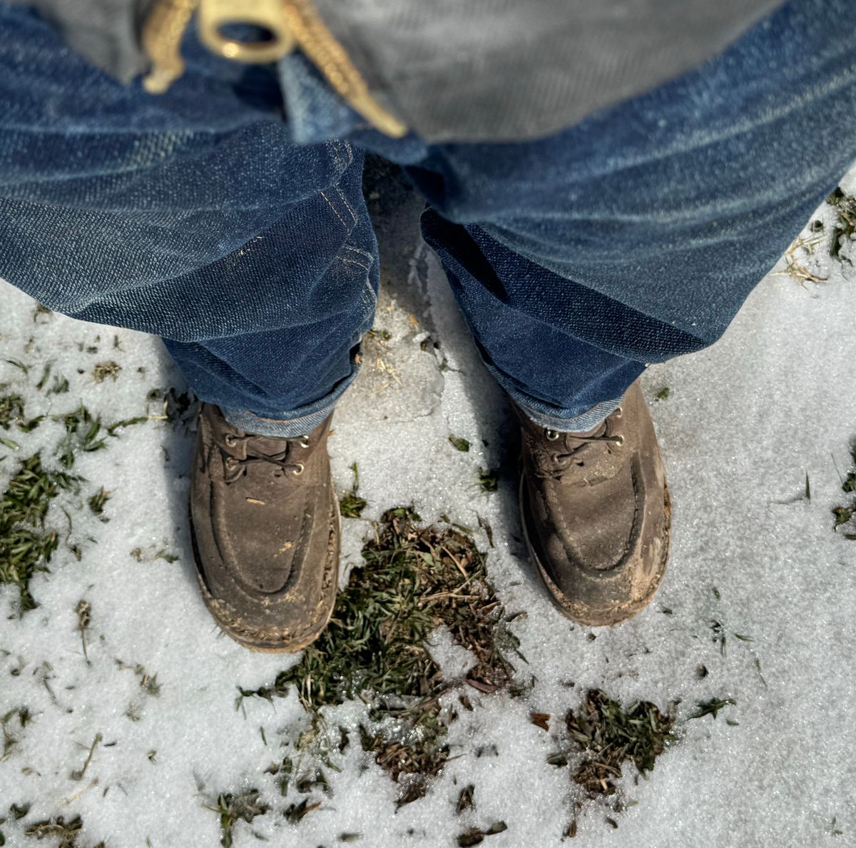 Photo by traceycortez on January 26, 2026 of the Nicks Moc Toe HD in Horween Ember Waxed flesh.