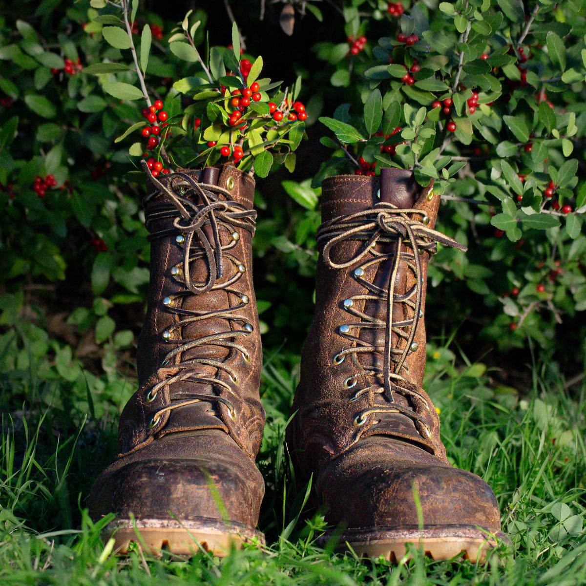 Photo by traceycortez on December 4, 2023 of the Frank's Boots Ground Pounder in Horween Natural Waxed Flesh.