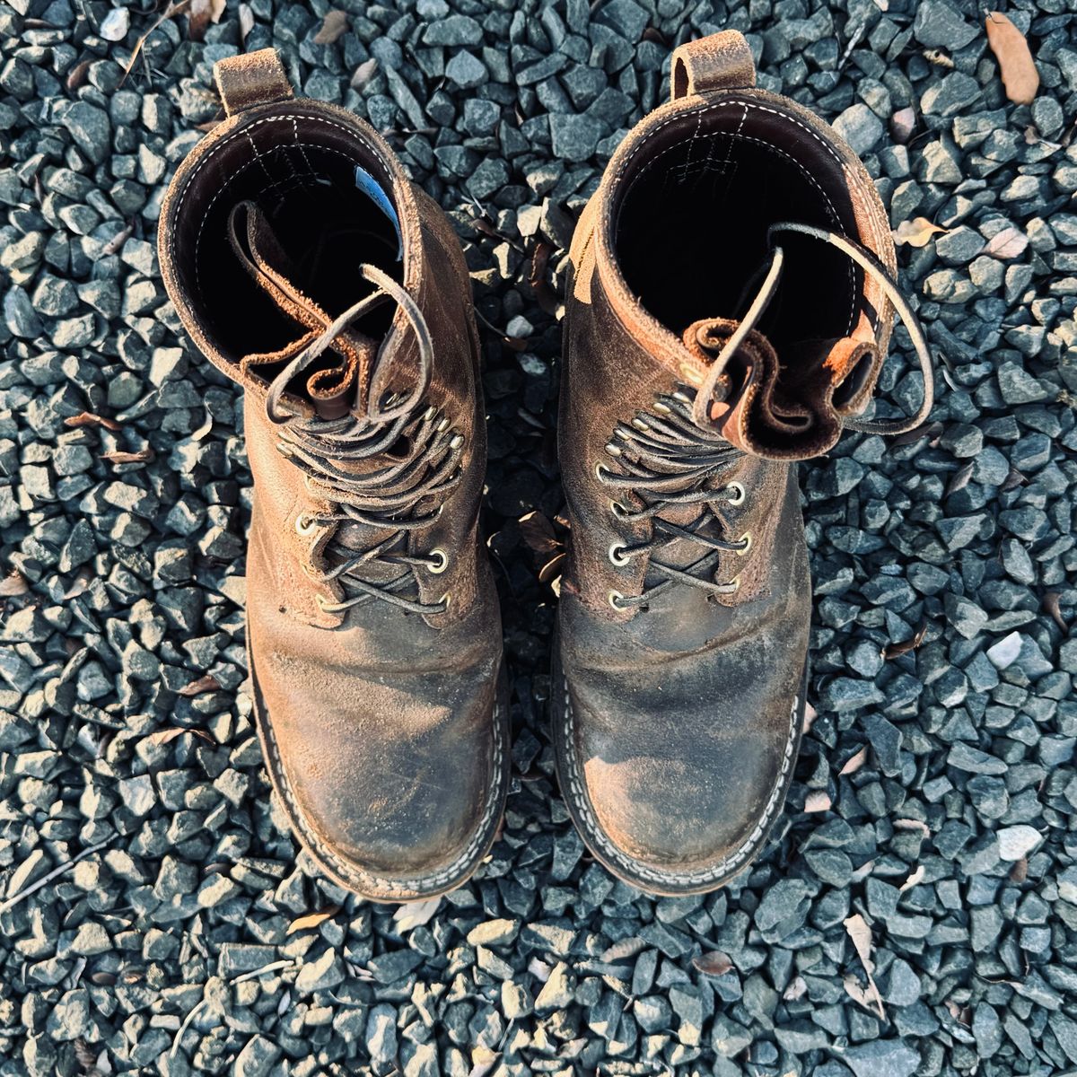 Photo by traceycortez on January 5, 2024 of the Frank's Boots Ground Pounder in Horween Natural Waxed Flesh.