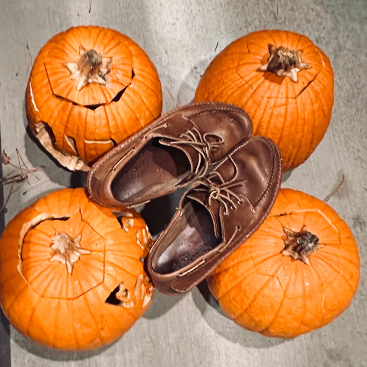 Photo by tippytoes on November 6, 2025 of the Quoddy Boat Moc II in Horween Natural Chromexcel.