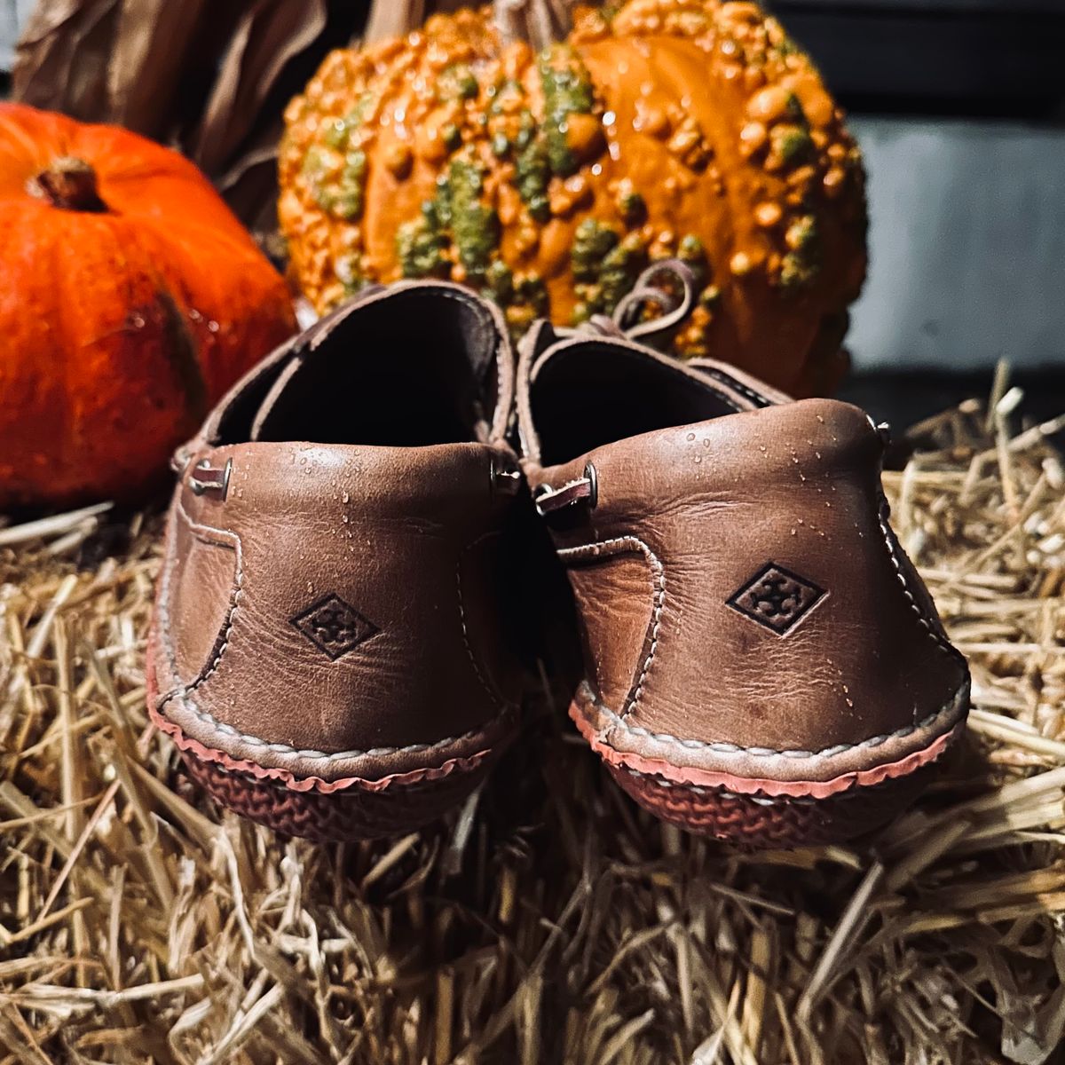 Photo by tippytoes on November 6, 2025 of the Quoddy Boat Moc II in Horween Natural Chromexcel.