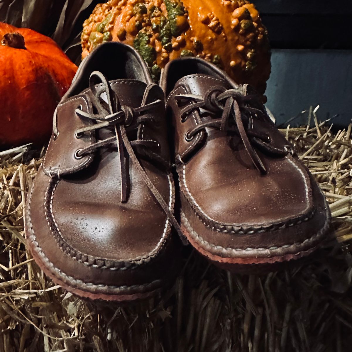 Photo by tippytoes on November 6, 2025 of the Quoddy Boat Moc II in Horween Natural Chromexcel.