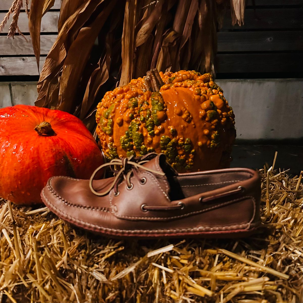 Photo by tippytoes on November 6, 2025 of the Quoddy Boat Moc II in Horween Natural Chromexcel.
