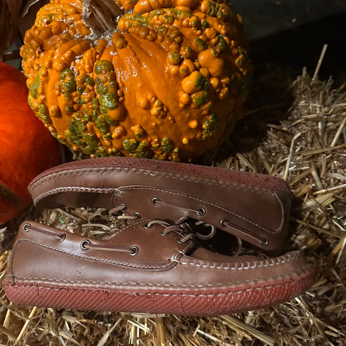 Photo by tippytoes on November 6, 2025 of the Quoddy Boat Moc II in Horween Natural Chromexcel.