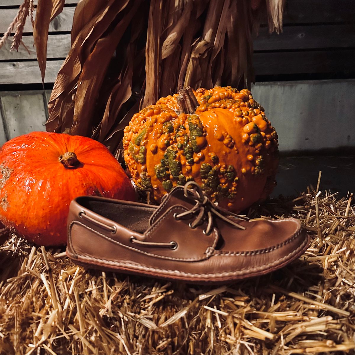 Photo by tippytoes on November 6, 2025 of the Quoddy Boat Moc II in Horween Natural Chromexcel.