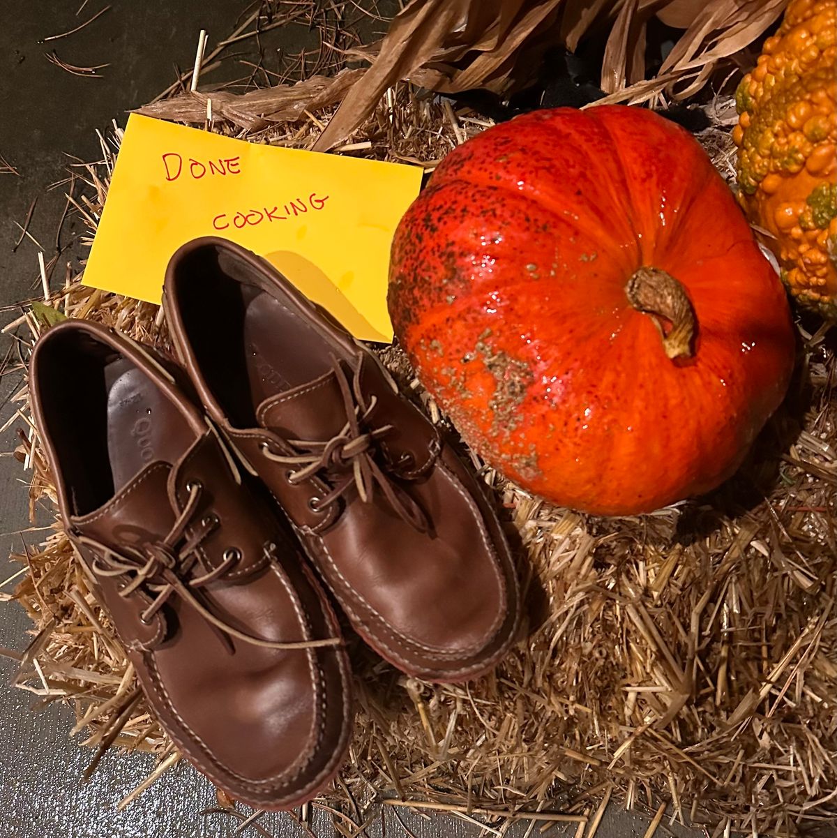 Photo by tippytoes on November 6, 2025 of the Quoddy Boat Moc II in Horween Natural Chromexcel.