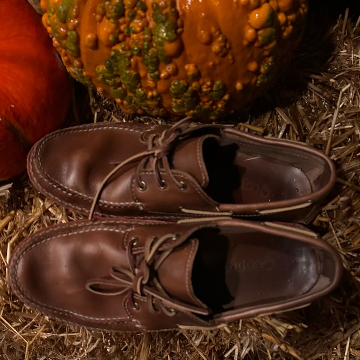 Photo by tippytoes on November 6, 2025 of the Quoddy Boat Moc II in Horween Natural Chromexcel.