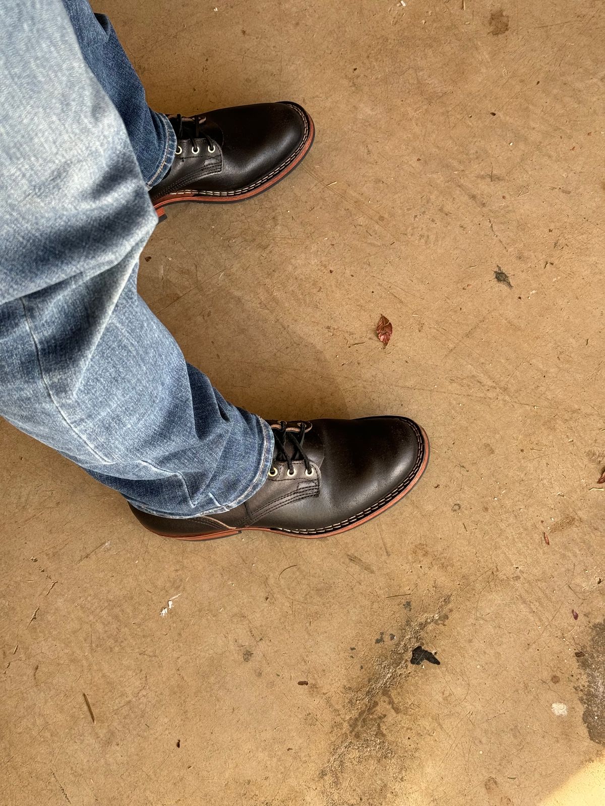 Photo by iwearboots on January 6, 2024 of the Nicks Unknown Model in Horween Black Waxed Flesh.