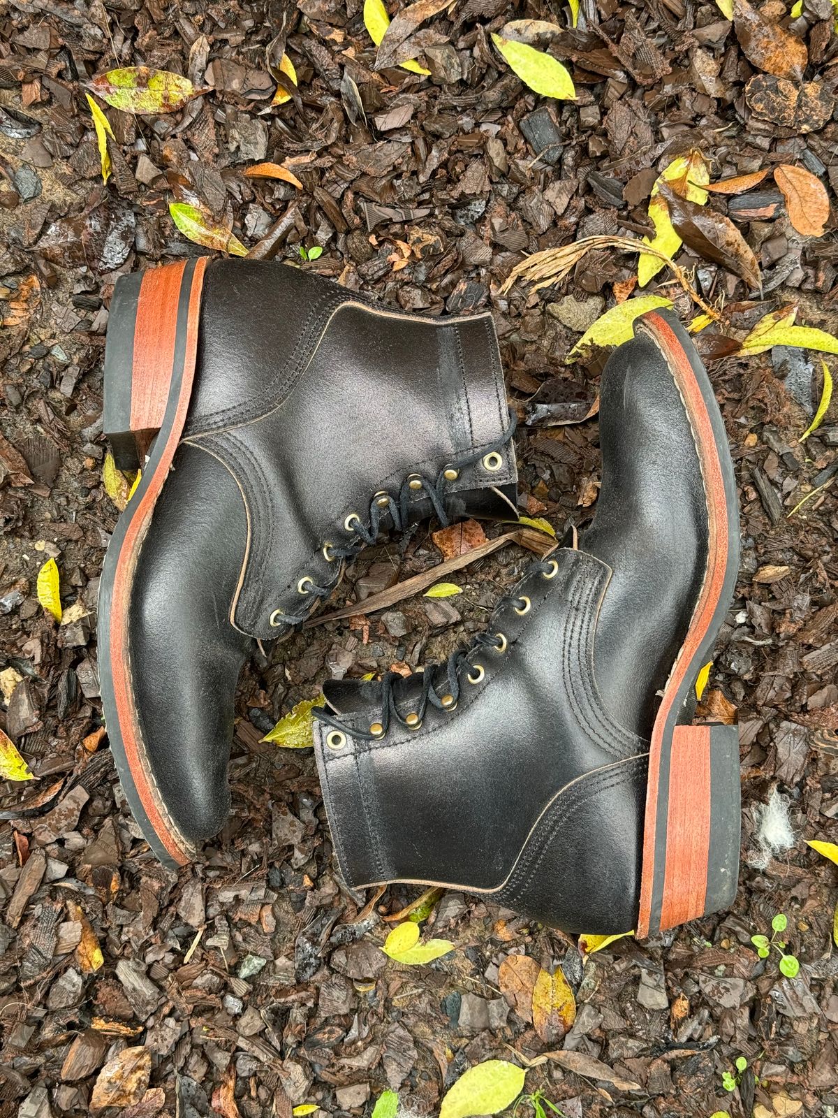 Photo by iwearboots on March 3, 2024 of the Nicks Unknown Model in Horween Black Waxed Flesh.
