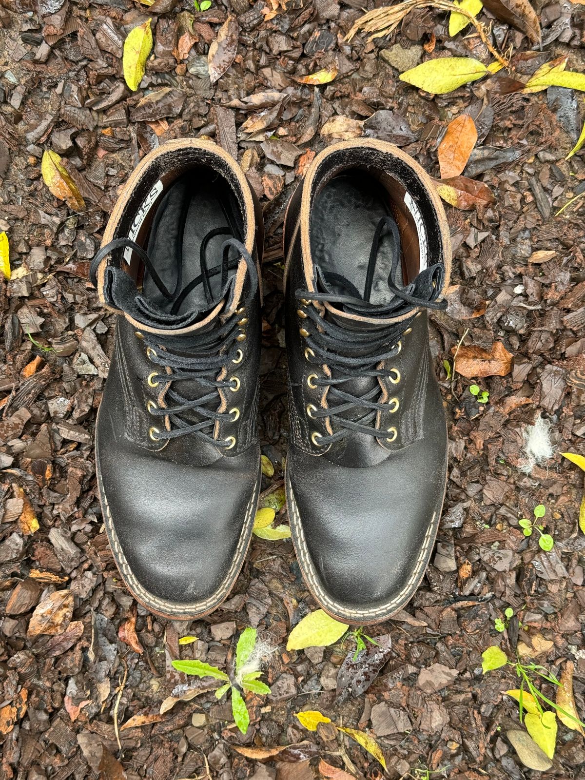 Photo by iwearboots on March 3, 2024 of the Nicks Unknown Model in Horween Black Waxed Flesh.