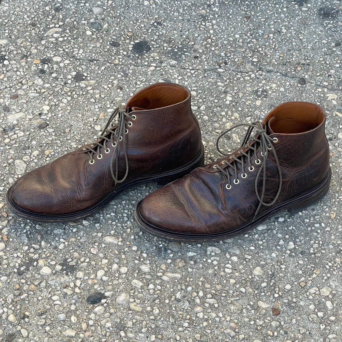 Photo by RemyTwotimes on February 5, 2024 of the Viberg Wholecut Derby Boot in Horween Rowdy Dachshund.