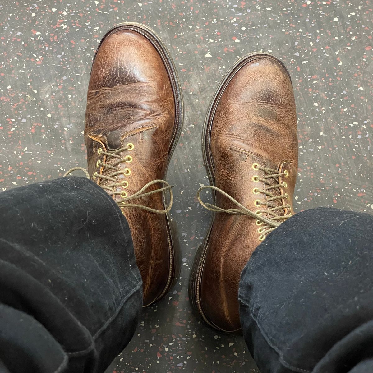 Photo by RemyTwotimes on February 10, 2024 of the Viberg Wholecut Derby Boot in Horween Rowdy Dachshund.