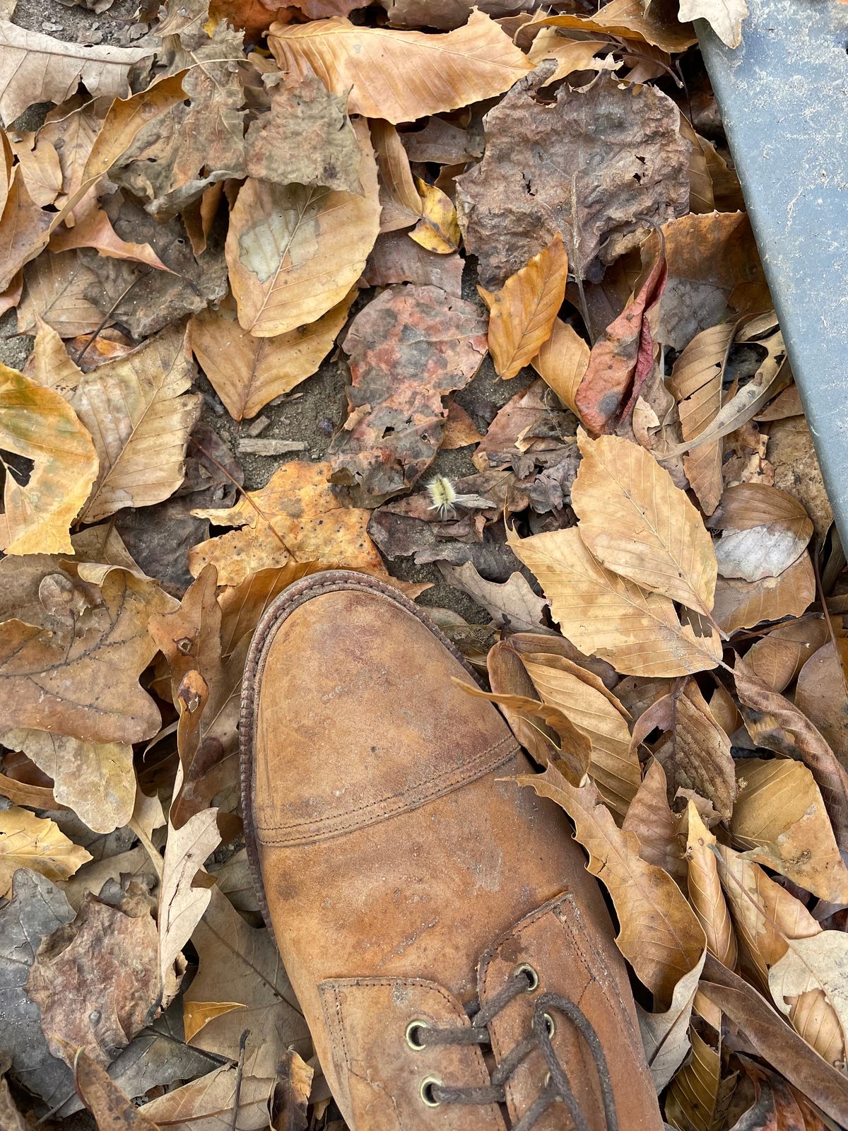 Photo by WalkingToMyWedding on November 6, 2023 of the Meermin Jumper Boot in Tobacco Waxy Shell Cordovan.