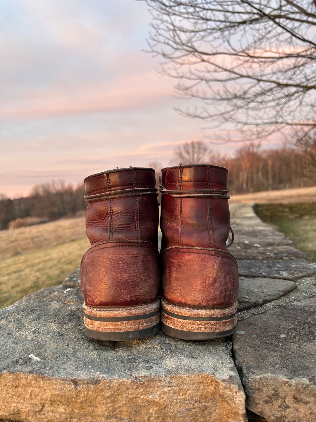 Photo by BigDogSaysBark on February 4, 2023 of the Oak Street Bootmakers Trench Boot in Horween Color 8 Chromexcel.