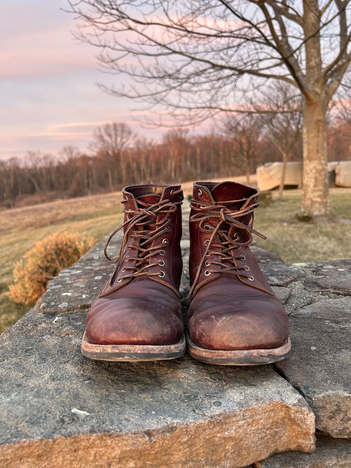 Photo by BigDogSaysBark on February 4, 2023 of the Oak Street Bootmakers Trench Boot in Horween Color 8 Chromexcel.