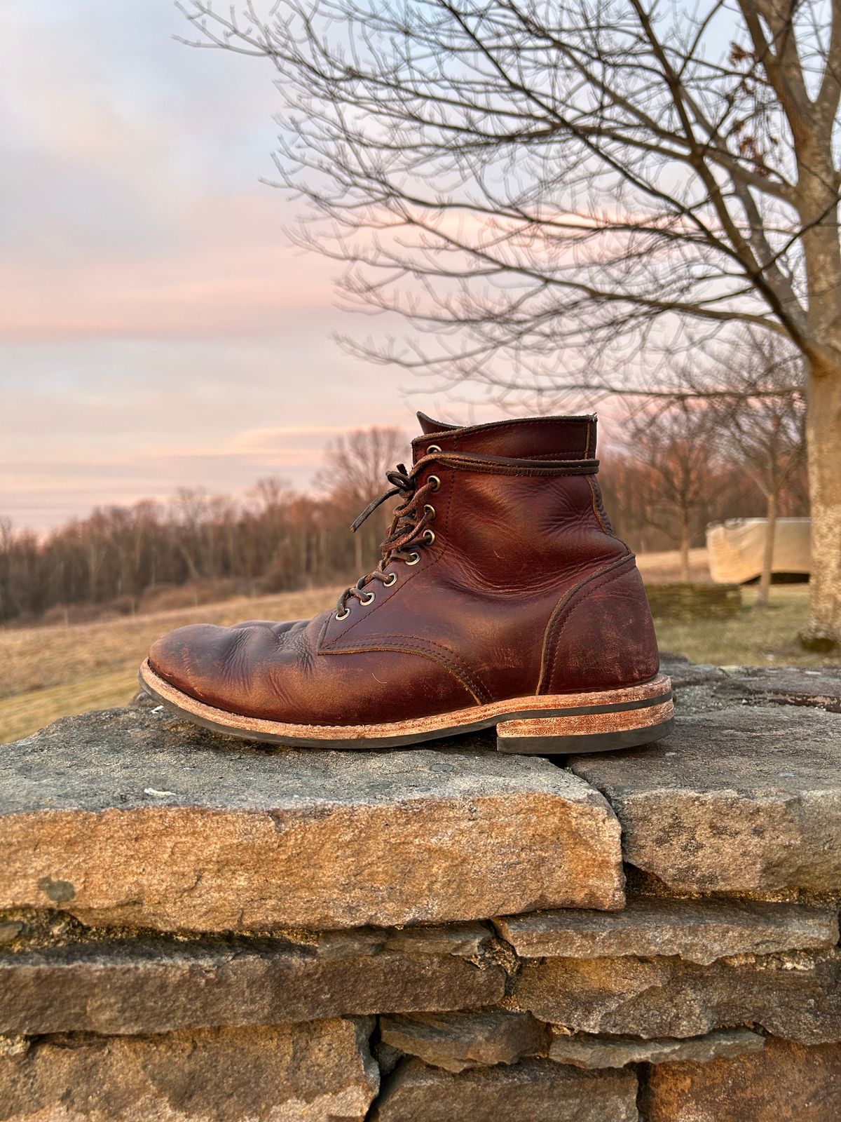 Photo by BigDogSaysBark on February 4, 2023 of the Oak Street Bootmakers Trench Boot in Horween Color 8 Chromexcel.