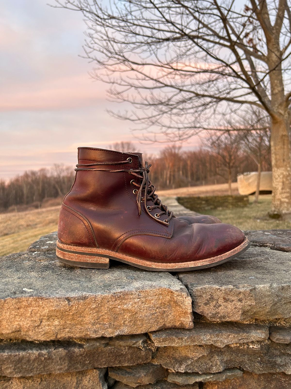 Photo by BigDogSaysBark on February 4, 2023 of the Oak Street Bootmakers Trench Boot in Horween Color 8 Chromexcel.