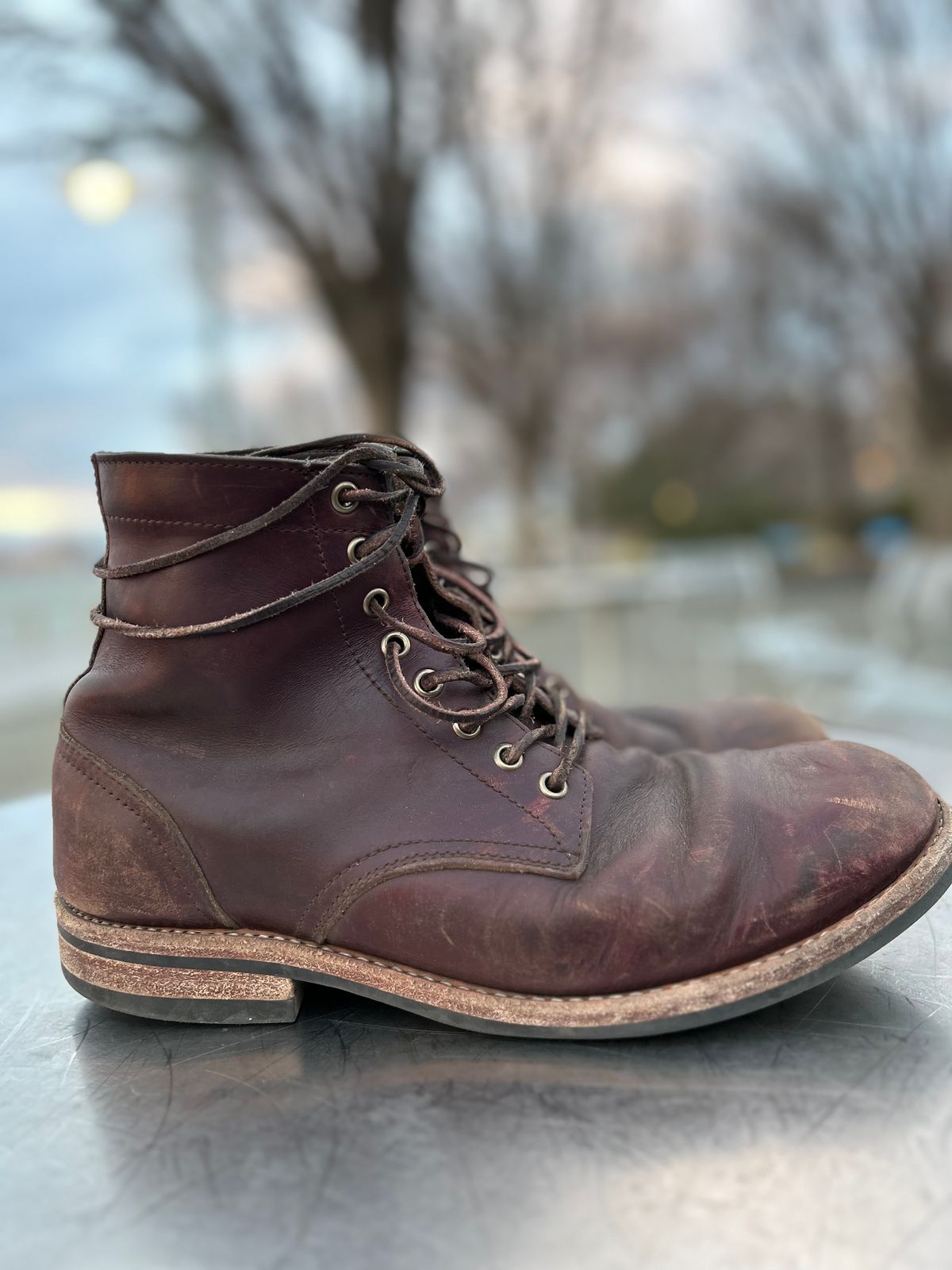 Photo by BigDogSaysBark on March 5, 2023 of the Oak Street Bootmakers Trench Boot in Horween Color 8 Chromexcel.