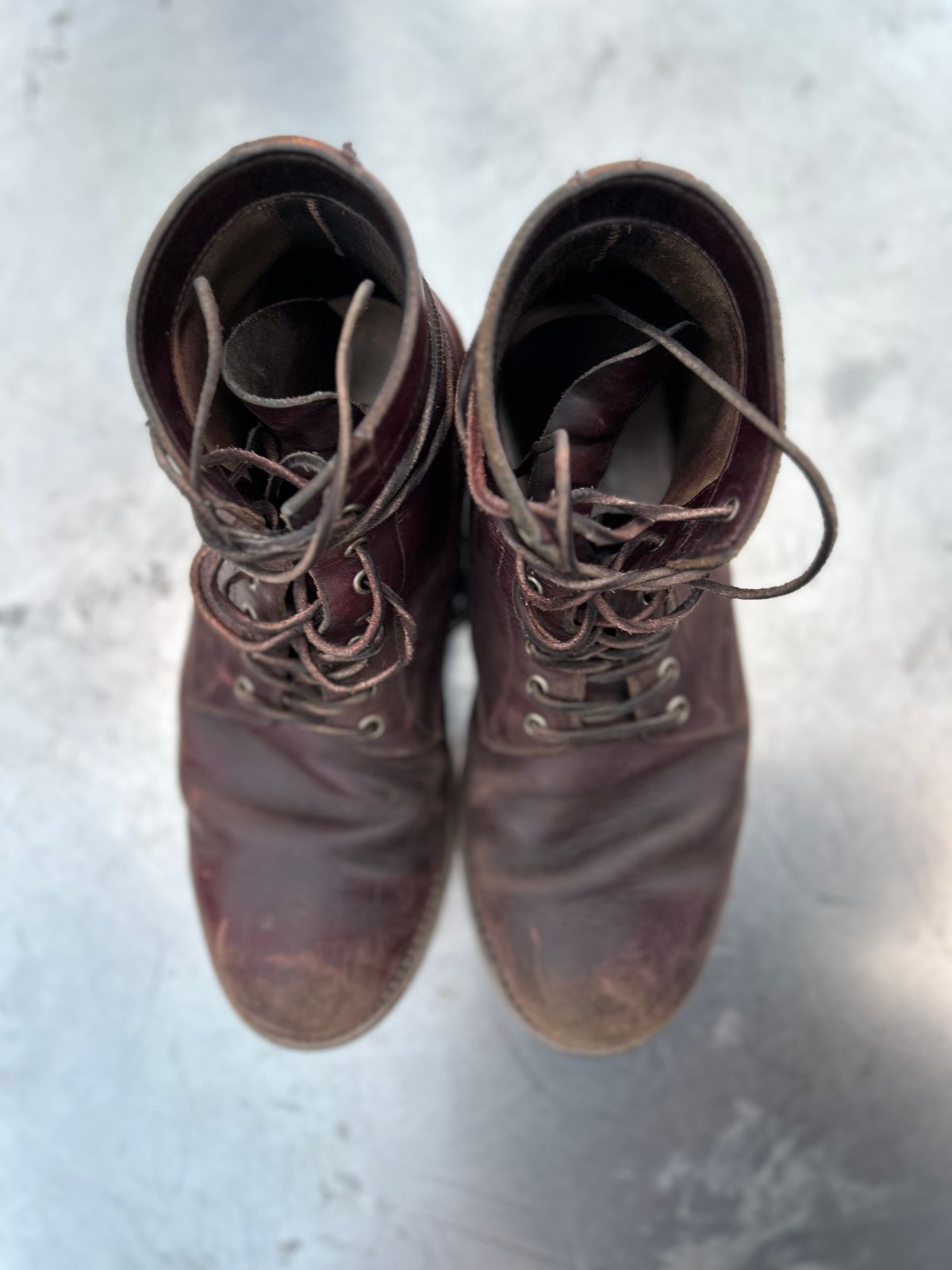 Photo by BigDogSaysBark on March 5, 2023 of the Oak Street Bootmakers Trench Boot in Horween Color 8 Chromexcel.