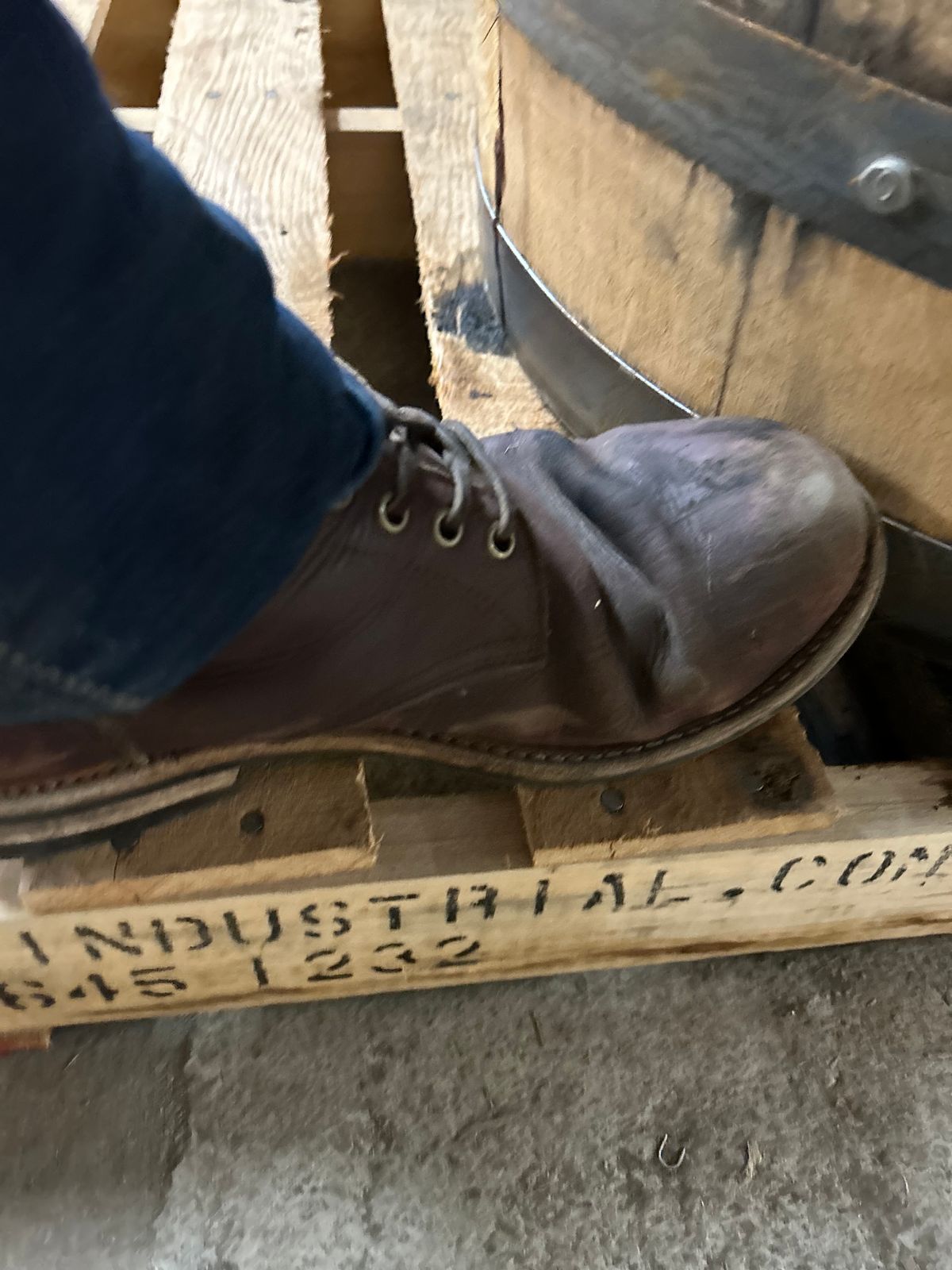 Photo by BigDogSaysBark on April 6, 2023 of the Oak Street Bootmakers Trench Boot in Horween Color 8 Chromexcel.