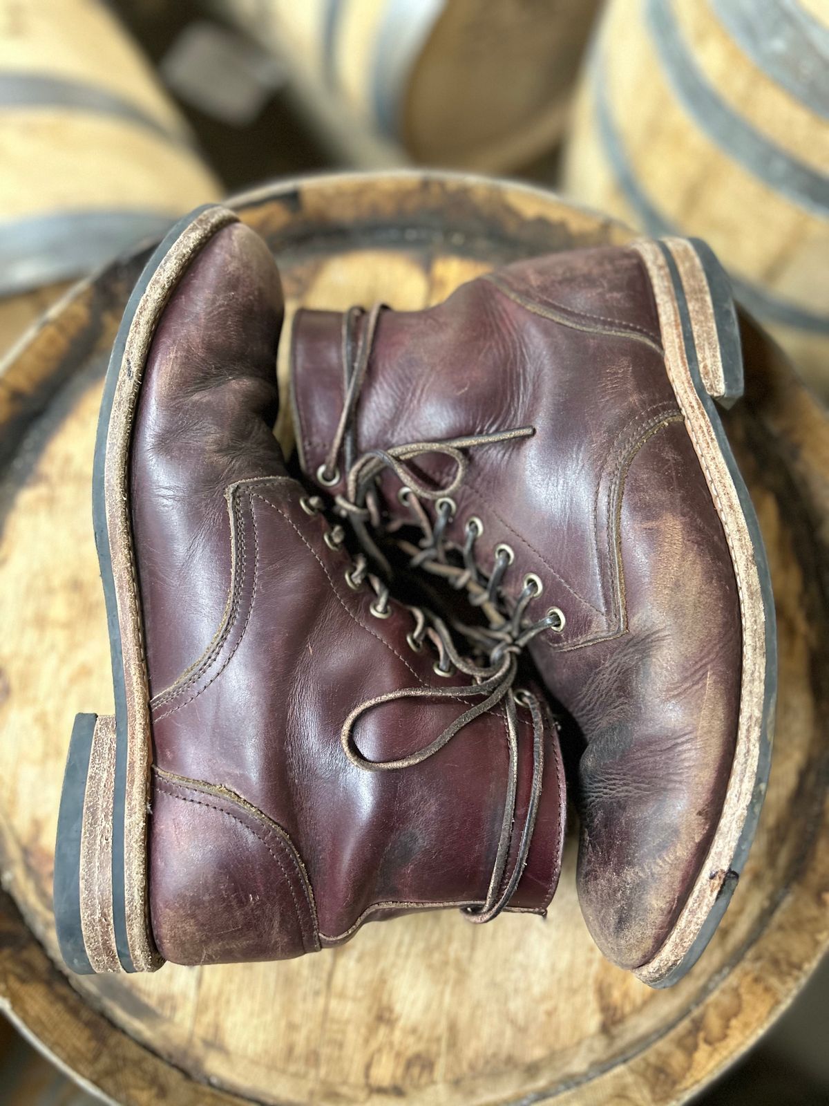 Photo by BigDogSaysBark on April 6, 2023 of the Oak Street Bootmakers Trench Boot in Horween Color 8 Chromexcel.