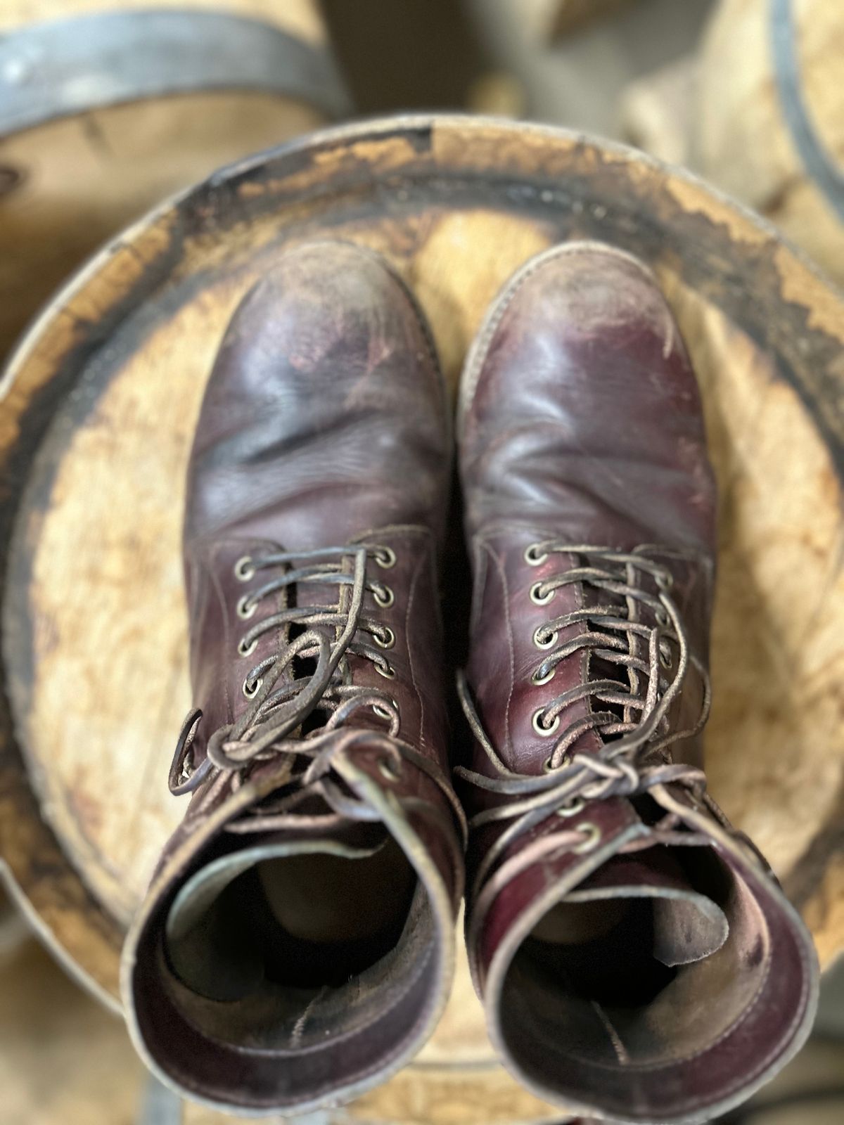 Photo by BigDogSaysBark on April 6, 2023 of the Oak Street Bootmakers Trench Boot in Horween Color 8 Chromexcel.