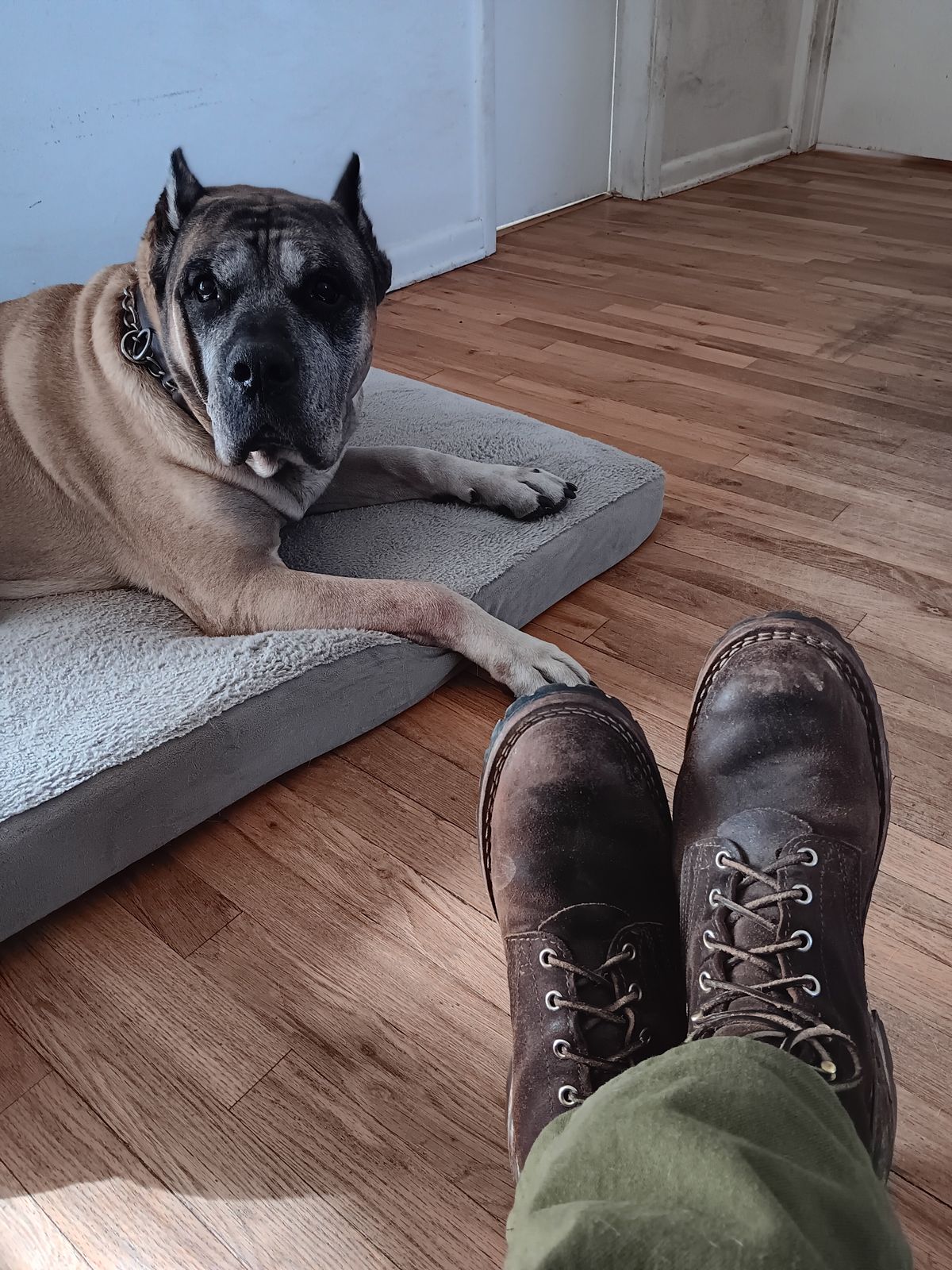 Photo by BobberD on November 20, 2024 of the Nicks Overlander in Horween Brown Waxed Flesh.