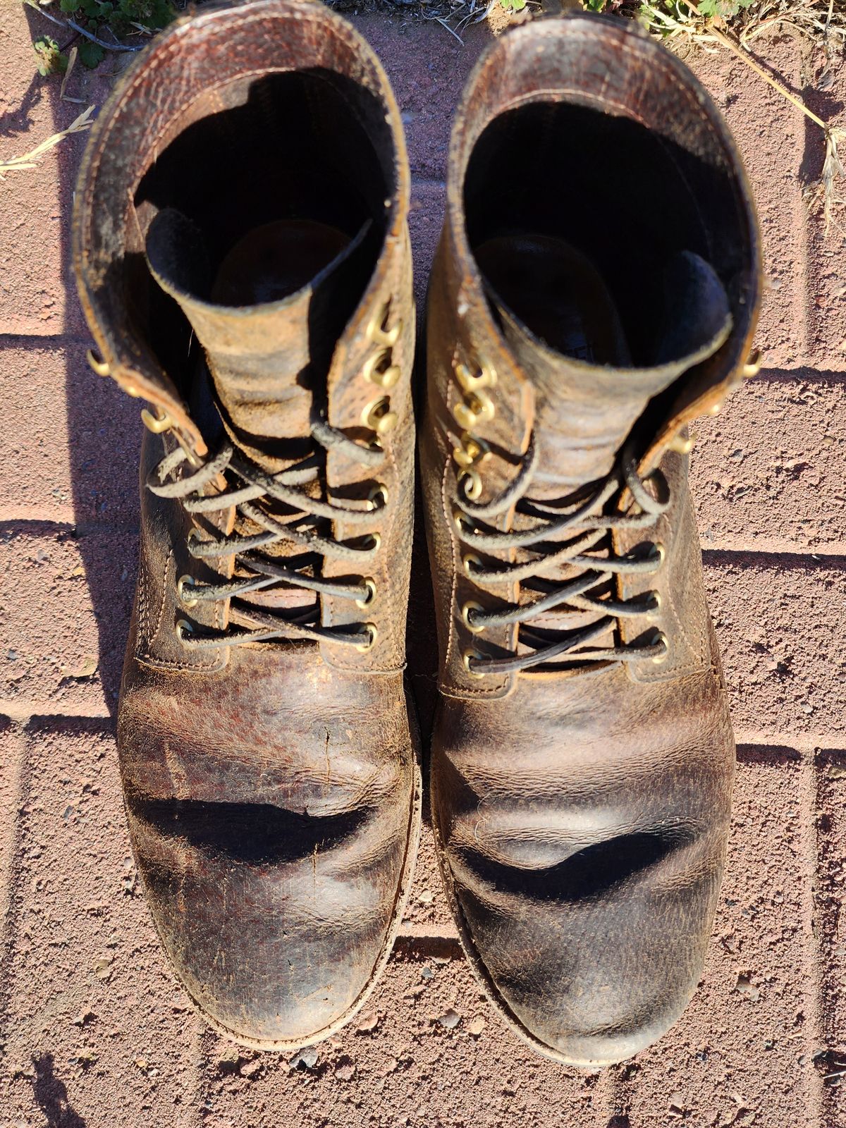 Photo by Creitz91 on March 4, 2023 of the Oak Street Bootmakers Trench Boot in Dark Waxy Wild Boar.
