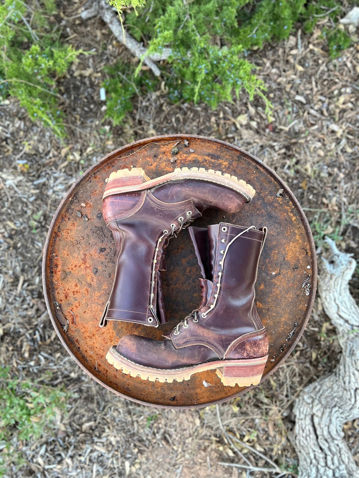 Photo by Bigcountrybonsai on December 6, 2023 of the Nicks MTO in Horween Tan Waxed Flesh.