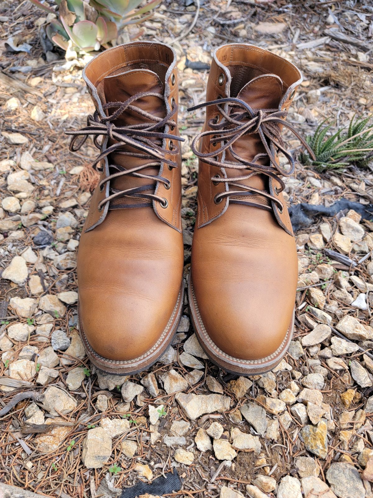 Photo by basboy on November 3, 2022 of the Viberg Service Boot in Horween Oak Chromepak.