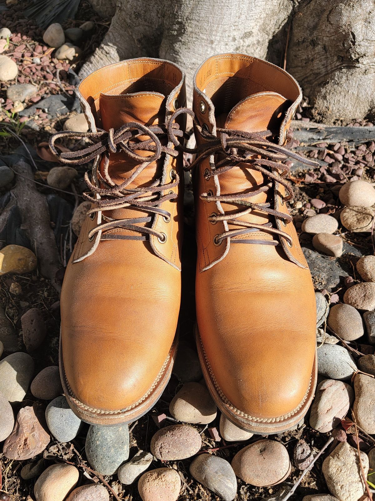 Photo by basboy on December 5, 2022 of the Viberg Service Boot in Horween Oak Chromepak.