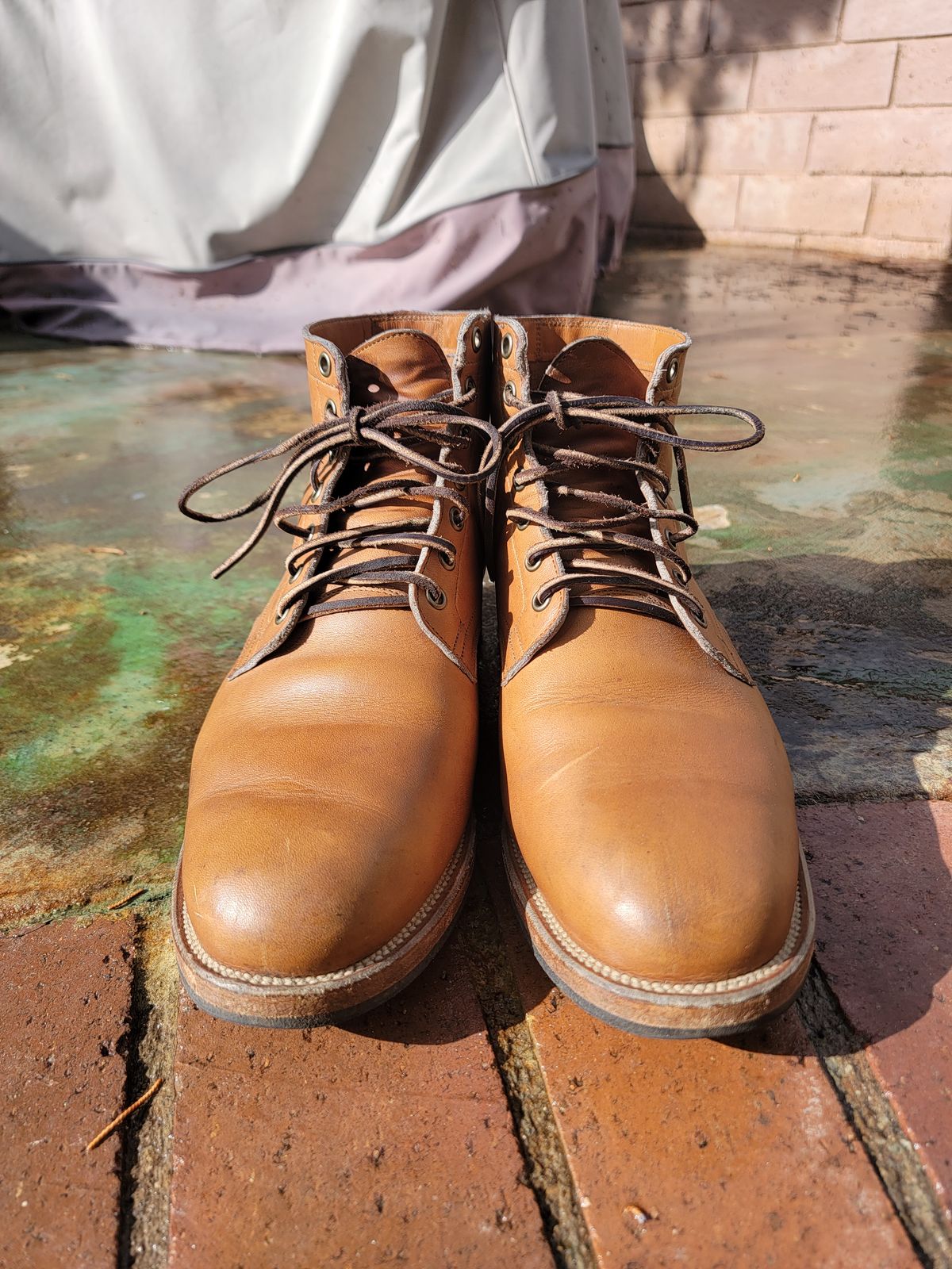 Photo by basboy on January 5, 2023 of the Viberg Service Boot in Horween Oak Chromepak.