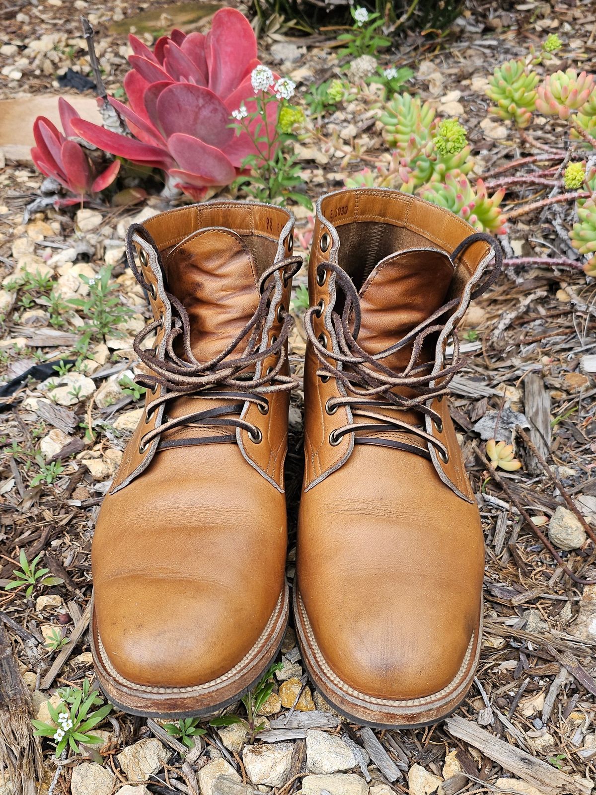 Photo by basboy on March 5, 2023 of the Viberg Service Boot in Horween Oak Chromepak.