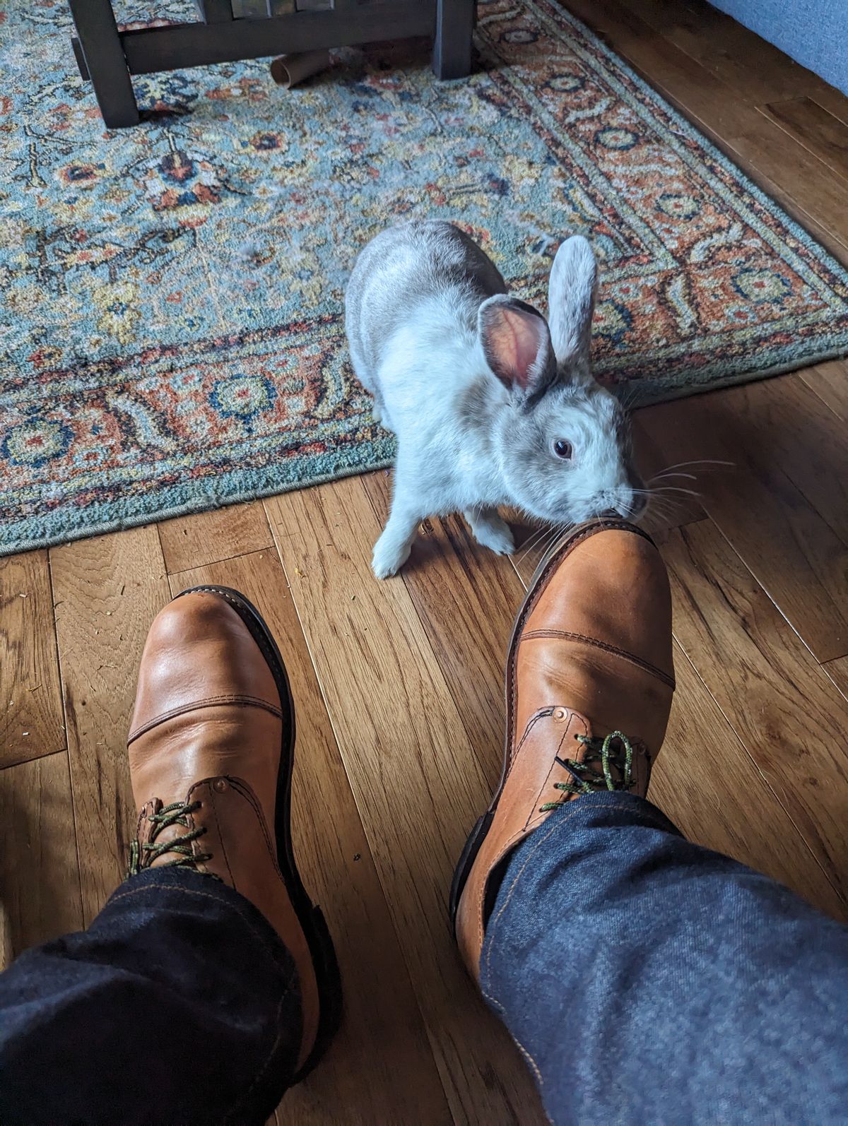 Photo by hooknpunch on October 3, 2023 of the Hook & Punch Derby Shoe in Conceria MPG Aragona English Tan.