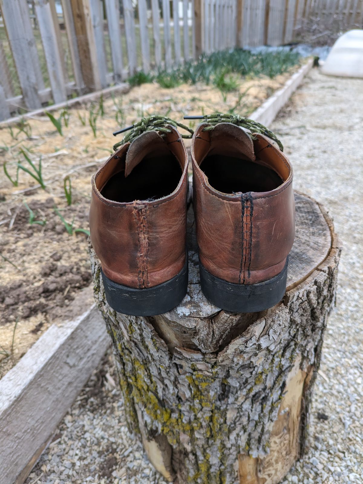 Photo by hooknpunch on April 2, 2024 of the Hook & Punch Derby Shoe in Conceria MPG Aragona English Tan.