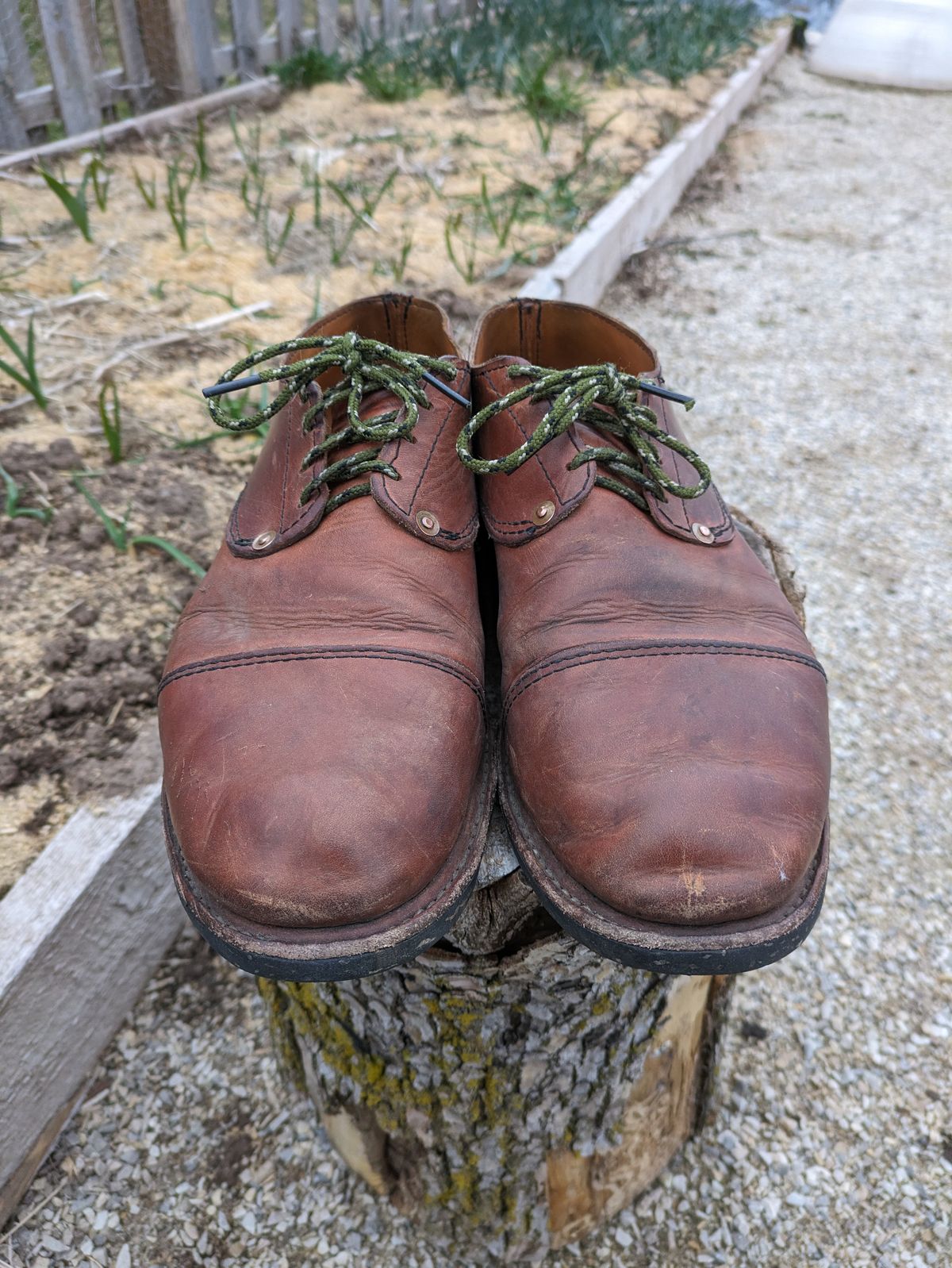 Photo by hooknpunch on April 2, 2024 of the Hook & Punch Derby Shoe in Conceria MPG Aragona English Tan.