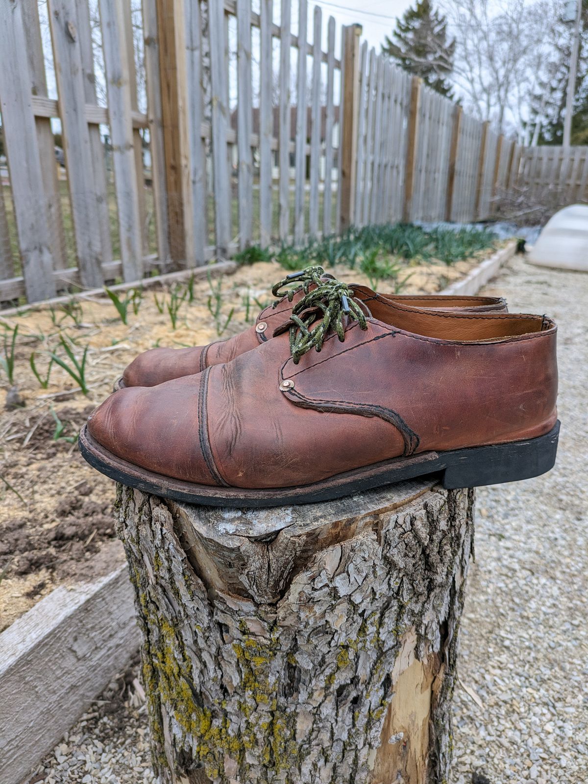 Photo by hooknpunch on April 2, 2024 of the Hook & Punch Derby Shoe in Conceria MPG Aragona English Tan.