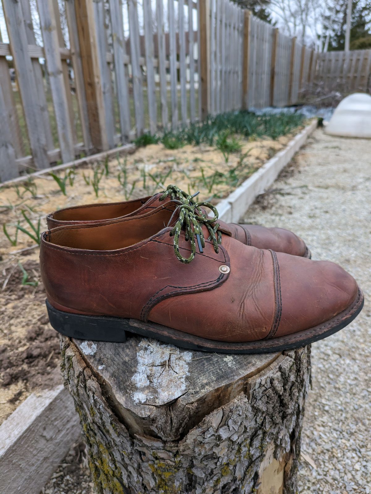 Photo by hooknpunch on April 2, 2024 of the Hook & Punch Derby Shoe in Conceria MPG Aragona English Tan.